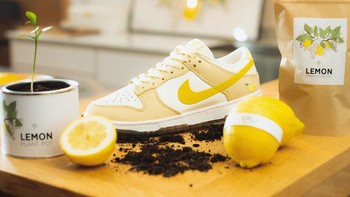 酸酸的是夏天的味道，Nike Dunk Low 最新夏日配色正式登场