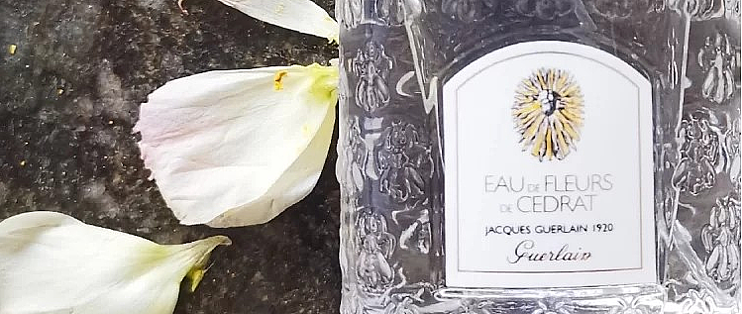 娇兰香橼花之水清新的柠檬香香水 中性香水 什么值得买