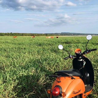 iPhone镜头里的沿海公路旅行设备