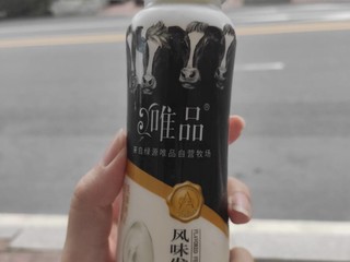 唯品风味发酵乳酸奶，好喝