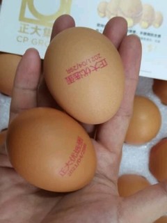 每个鸡蛋都很大