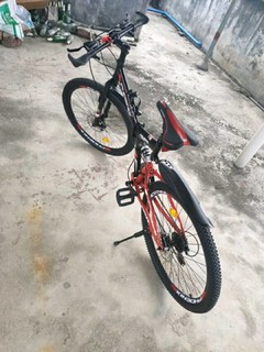 凤凰中国自行车老品牌