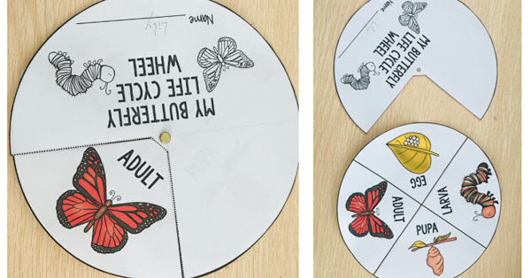 一开口就错了 这些实用的动物英语表达 课本居然都没教 在线教育 什么值得买