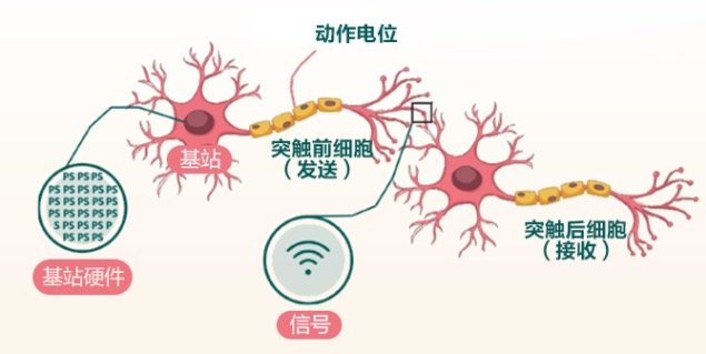 新品资讯：旭福新品发售——脑动力胶囊 