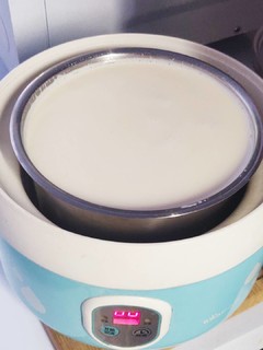 不用牛奶就可以做酸奶的川秀希腊酸奶发酵菌