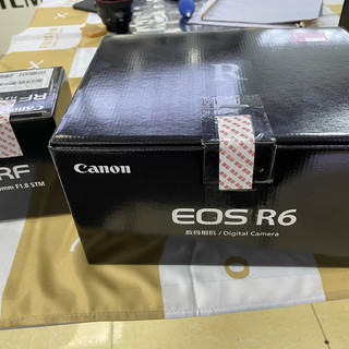 是时候把单反更换为微单了——EOS R6