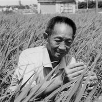 “杂交水稻之父”袁隆平因病逝世 享年91岁