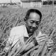 “杂交水稻之父”袁隆平因病逝世 享年91岁