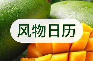 风物日历5.22|这种青芒果竟然是海南的"热带果王"