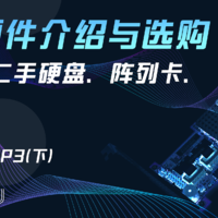 魔改ES板U、阵列卡、转接网卡、二手硬盘等硬件的剖析与排雷（下）