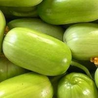 风物日历5.25｜来自“宇宙寿光”的拇指黄瓜有多好吃？