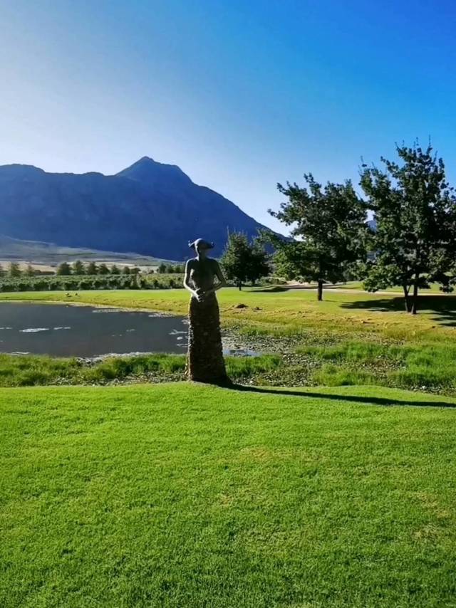 Saronsberg庄园风光