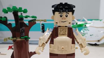 老杨的玩具仓库 篇六十六：LEGO 乐高 哈利波特系列 75967 禁林乌姆里奇的遭遇战