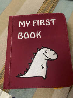 宝宝的first book