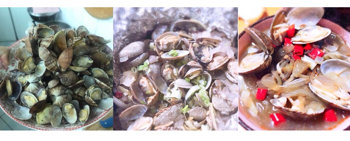 龙猫美食 篇二：海边独有的美味，蚬子的3种美味做法分享！ 