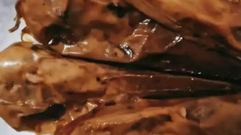 夏季不可少的美味，武汉特产周黑鸭美味小吃分享。第三篇！