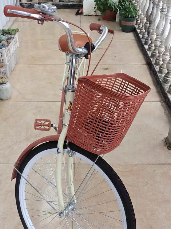凤凰普通自行车