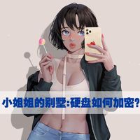 三种移动硬盘加密机制，哪一种更能保护你的小姐姐？