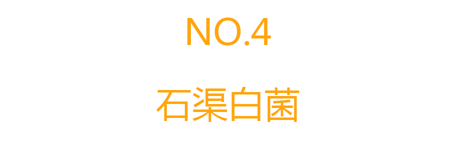 在甘孜，有7种珍稀野菌，每一种都是人间绝味！