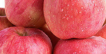【精品】陕西洛川红富士苹果水果10斤新鲜当季脆甜冰糖心萍果整箱