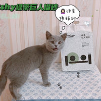 petshy新品混合猫砂测评｜来品品青草