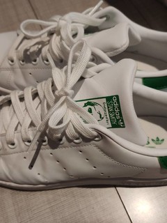 绿尾小白鞋，300买的！