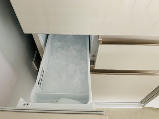 个小能装的日式冰箱-东芝RM495WE