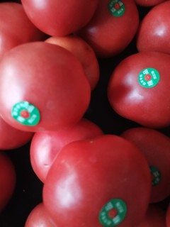 营养又健康的西红柿