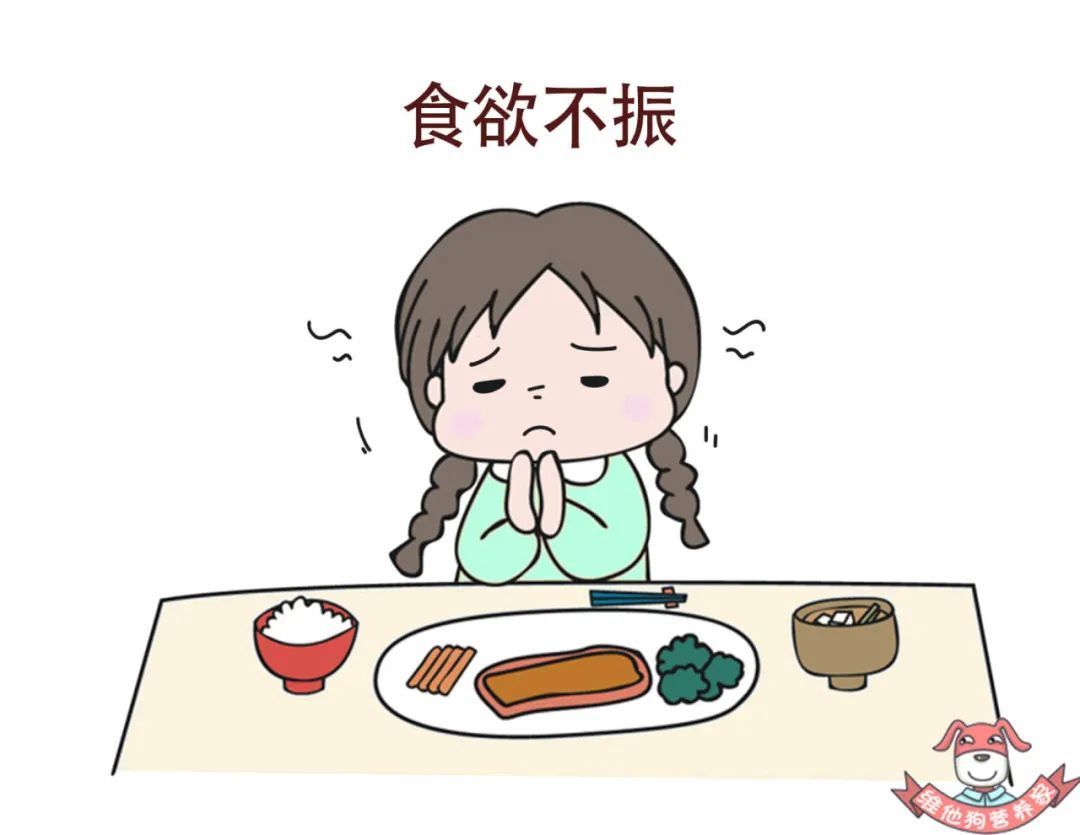 不长胖的夏日清爽菜谱来了营养均衡身体无负担