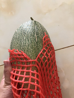 新鲜的哈密瓜