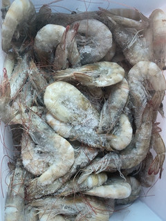 肉质鲜美紧致的大洋世家白虾