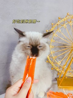 万物一口小橙条+补充猫咪营养