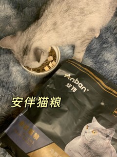 安伴猫粮+猫咪很爱吃呢