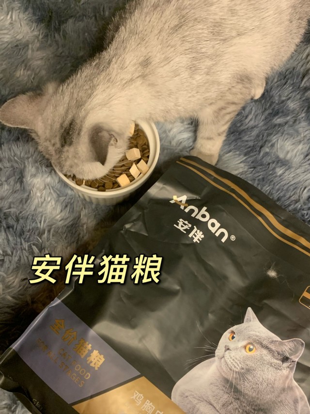 安伴猫粮+猫咪很爱吃呢