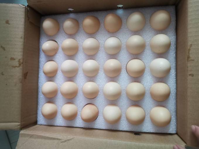 德青源柴垛儿鸡蛋,颗颗信得过