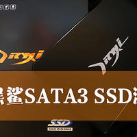精亿黑鲨SATA3固态硬盘测试：固态剥壳探芯 不容忽视低调良“芯”