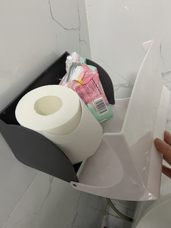 免打孔厕所纸巾盒