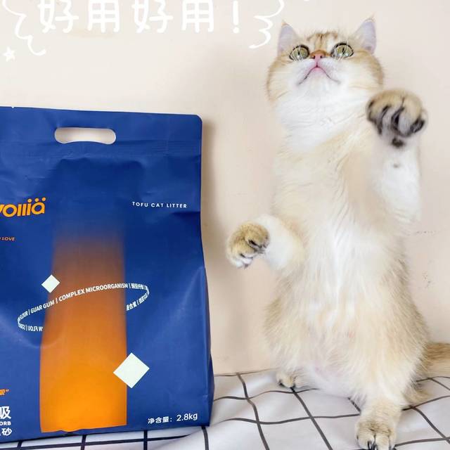 性价比猫砂推荐