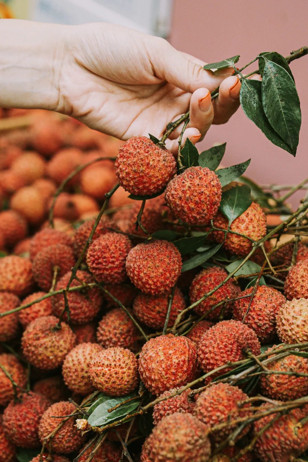 荔枝唯一能让广州人不顾热气也要吃的绝味