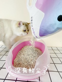 麦德氏猫砂我最爱的猫砂