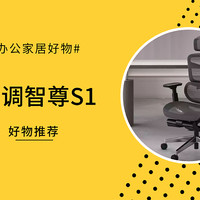 办公家用两宜的人体工学椅，黑白调智尊S1