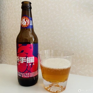 拳击猫精酿啤酒 杀手锏口味