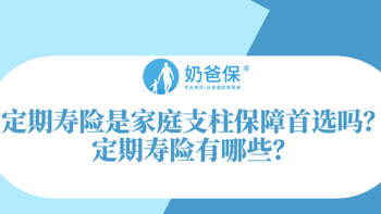 定期寿险是家庭支柱保障首选吗？定期寿险有哪些？