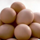 每天零元撸鸡蛋不香吗？