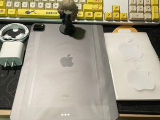 东哥5199 ipad pro完美下车