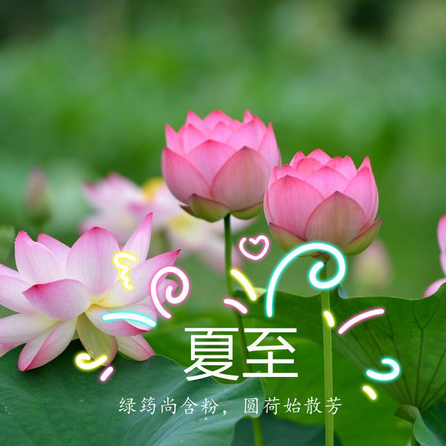 明日夏至，有钱没钱，别忘了吃“夏至七宝”，应季而食顺利入伏