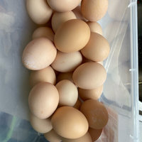 新鲜农家土鸡蛋