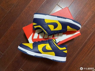 密歇根Nike Dunk Low