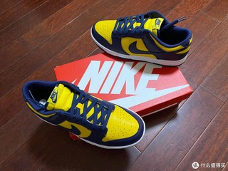 密歇根Nike Dunk Low