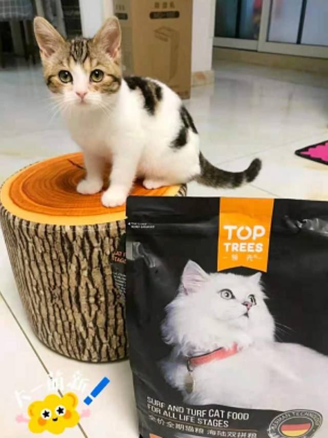 🐱Toptrees领先成猫全价猫粮！铲